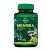 Menora - For Men & Women